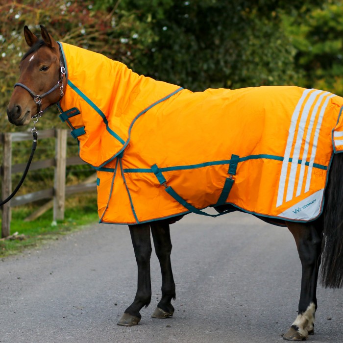 R219 Seacroft combo 200g Turnout Rug